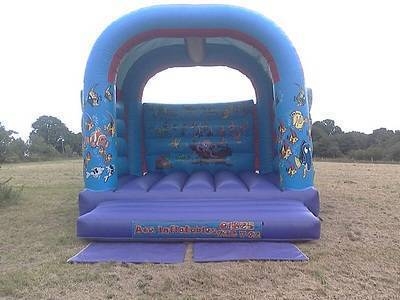 15 x 17 adult fish bouncy castle.