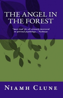 The Angel in the Forest by Niamh Clune