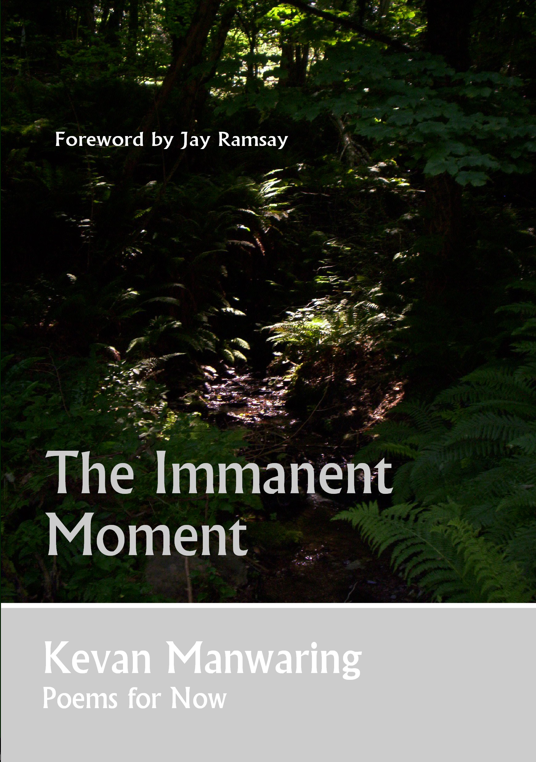 The Immanent Moment by Kevan Manwaring