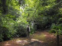 Wandering poet in the woods
