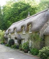 Buckland-in-the-Moor