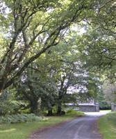 Heathfield Heathfield