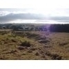 Moorlandview