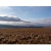 Southern view from Hessary Tor