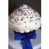 Giant Birthday Cupcake