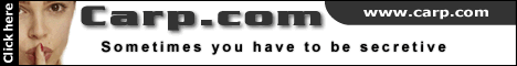 carp.com
