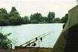 Carp Fshing