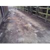 New drive way