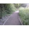 New Path