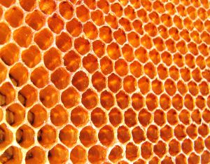 Honey Comb