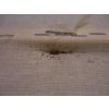 Bed Bug blood spot faecal marks