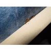 Bed Bugs clustering By Headboard