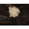 Hornets Nest