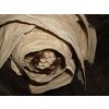 The View inside the Hornets Nest