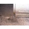 Rats gnawing to gain entrance to the shop.