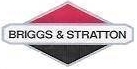 Briggs and Stratton