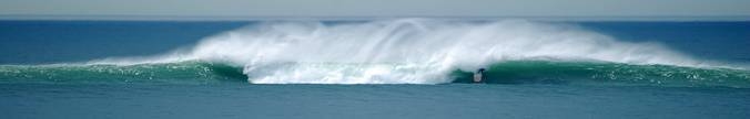  Surfing Oysters Monster Wave 