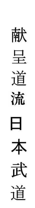 Kenshindoryu Nippon Budo 