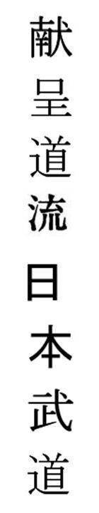 Kenshindoryu Nippon Budo