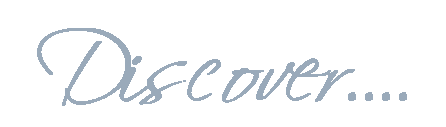 Discover