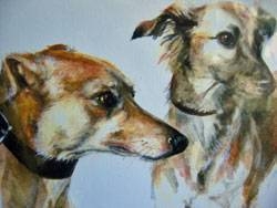 Eileen Turner Lurcher Study