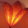 LAMPS