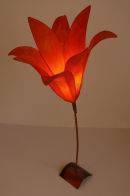 Orange Lilly
