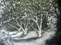 Molly Dicker - orchard