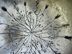 Monica Grohmann, Raku glazed dish with seed head impressed decoration