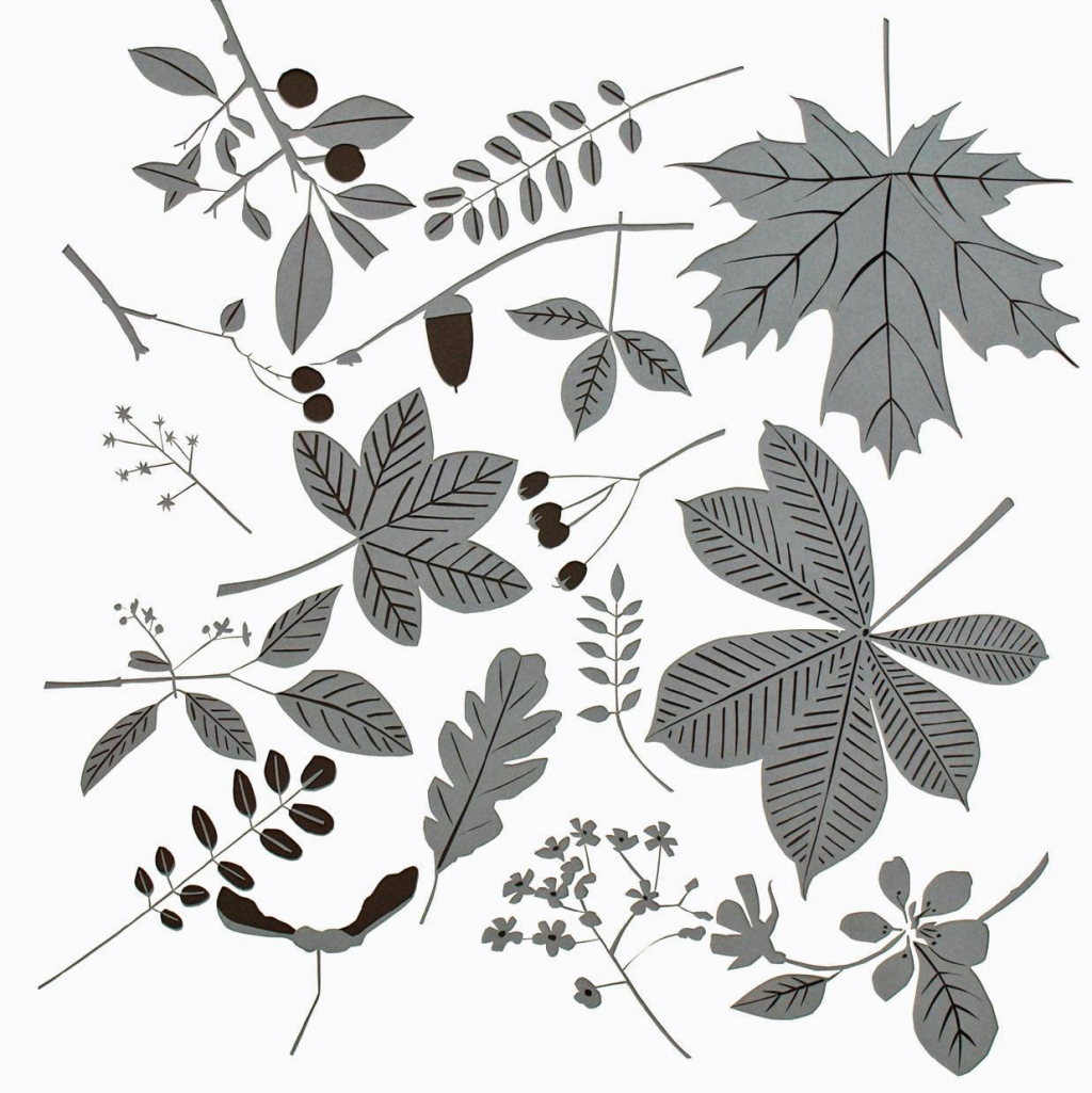 Nature Table - Claire Spencer