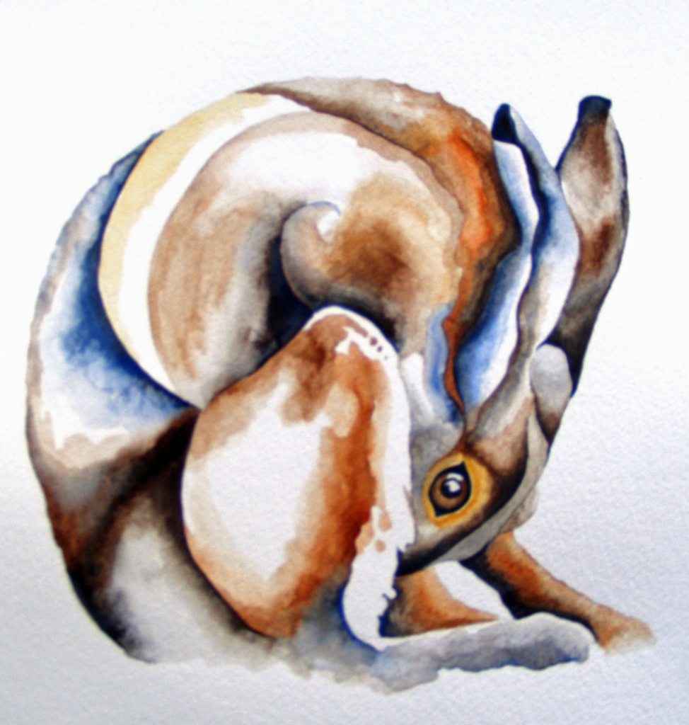 Sophie Bignall
