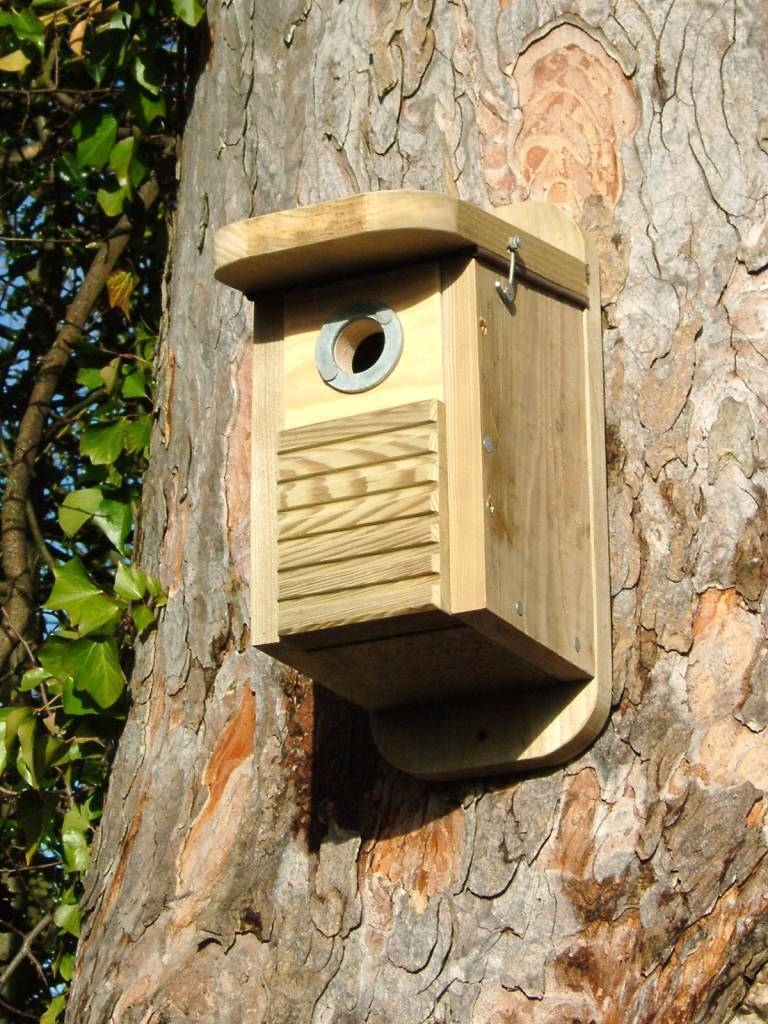 Tree-Pad small nesting box