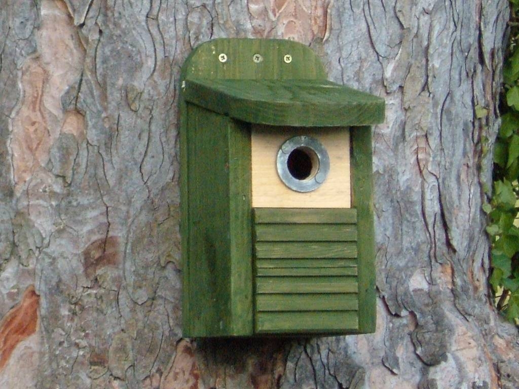 nesting box