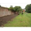The house and herbaceous border