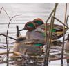 Trio of teals