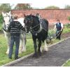 We plough the fields and scatter