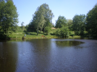  Bottom Lake - Big Carp and all sorts of other goodies!