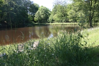 Bottom Lake at Winsome Waters
