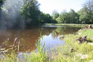 The Mysterious Bottom Lake at Winsome Waters
