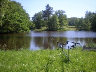 Rods on Top Lake at Winsome Waters 