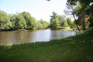 Top Lake Winsome Waters