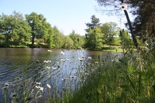 Stunning natural beauty at Winsome Waters