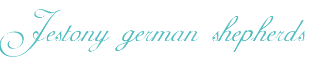 jestonygermanshepherds.co.uk Home Page
