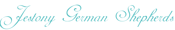 jestonygermanshepherds.co.uk Home Page