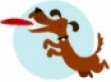 devondogtrainer.co.uk Home Page