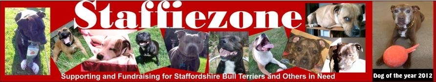staffiezone.org.uk Home Page