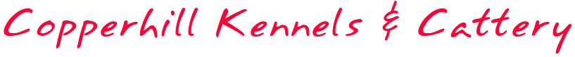 copperhill-kennels.co.uk Home Page