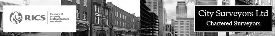 city-surveyors.co.uk Home Page