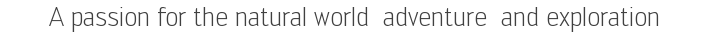 frozenworldbooks.co.uk Home Page