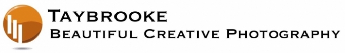 taybrooke.com Home Page
